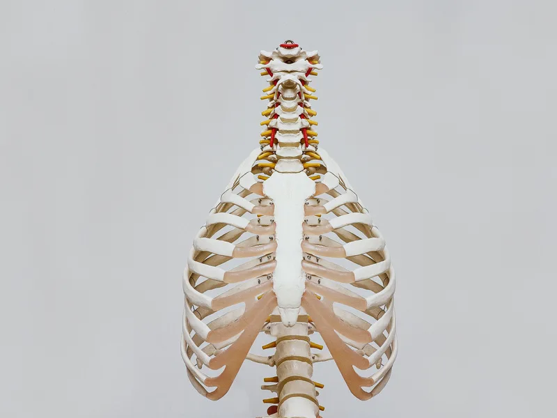 How X-Rays works at HealthSource of Harvest